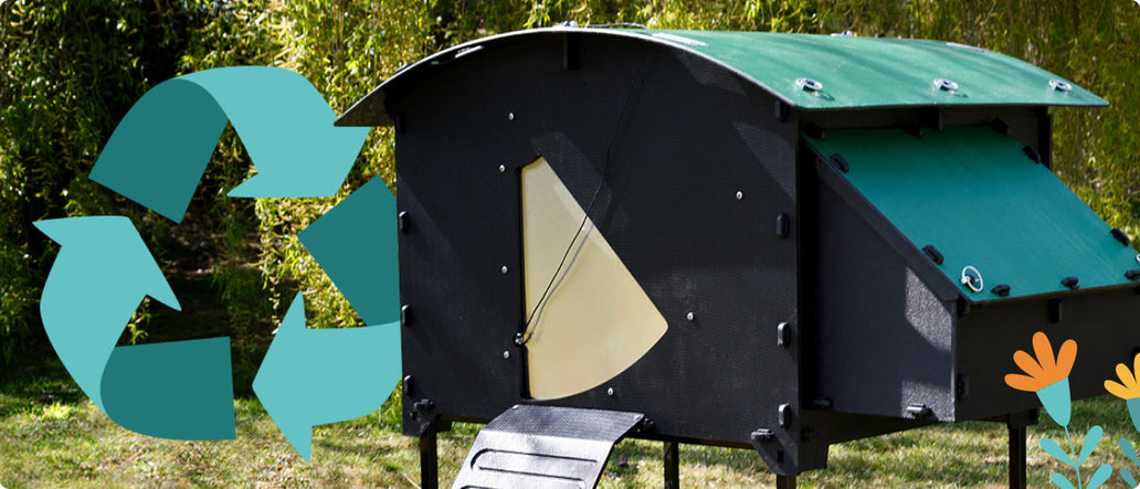 Why Choose a Plastic Chicken Coop?