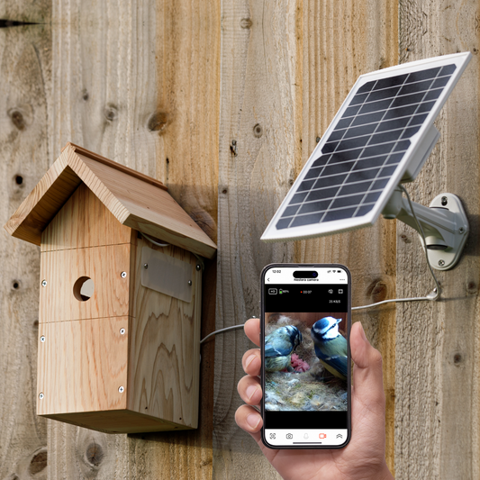 Nistkasten mit Kamera und Solarpanel