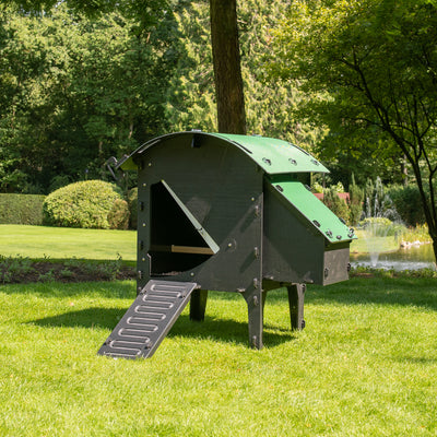 Chicken Coop