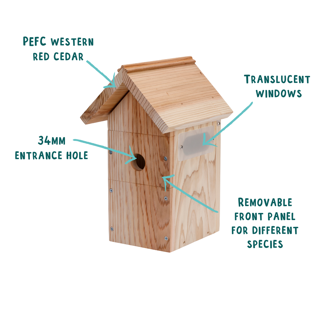 WiFi Battery Bird Box Camera with Solar Panel