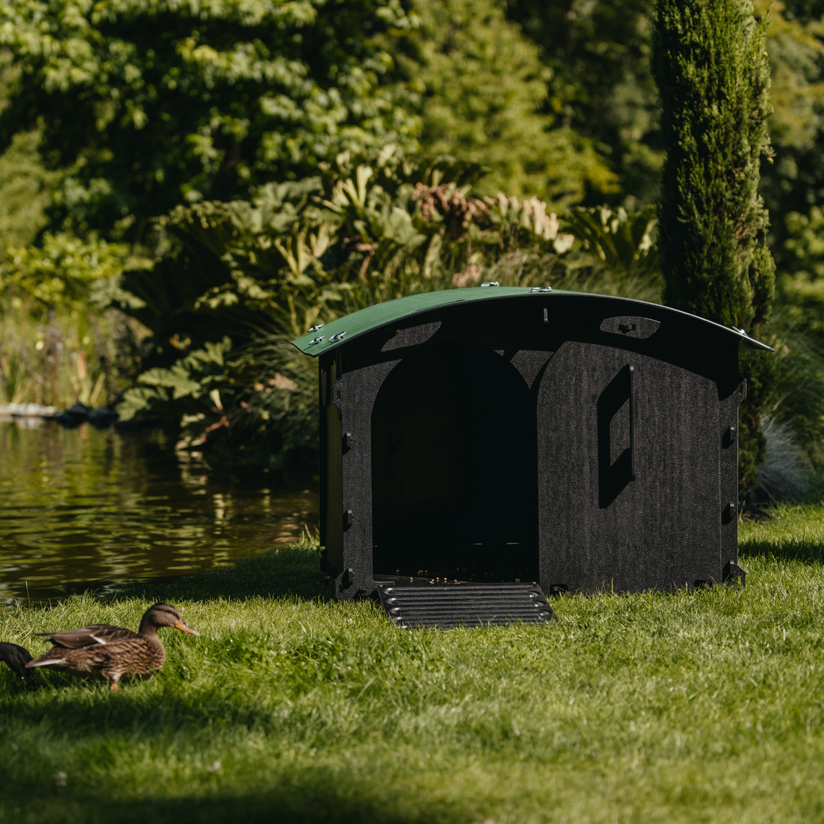 image-thumbnail+3--img-thumbnail--Duck House
