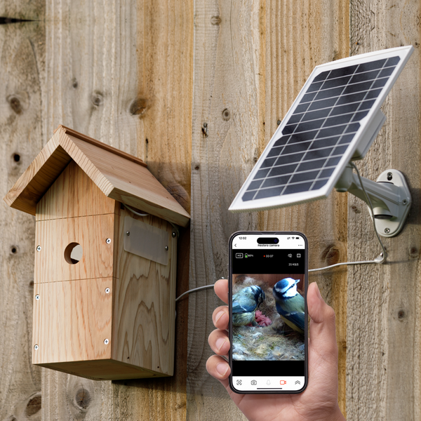 Telecamera Wi-Fi a batteria con scatola per uccelli con pannello solare
