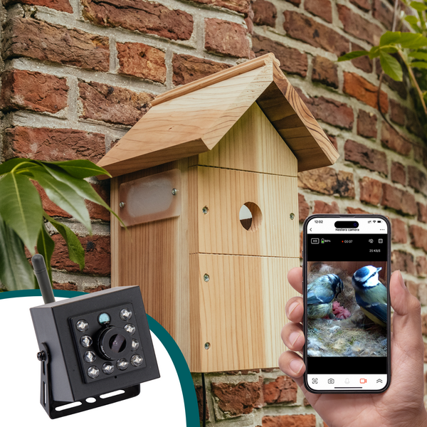 Sistema di telecamere Wi-Fi Bird Box
